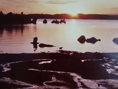 ART – Large Original Signed P. Van Dolson 35mm Photograph 29×21 Framed Landscape