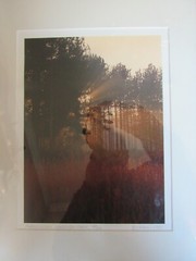 VTG. NICK ZUNGOLI 18 x 13 PHOTOGRAPH OF HARRIMAN PARK, NY – FOREST LIGHT # 2