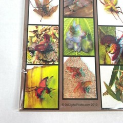 Collectors Insects 3-D 3D Photographs Set Art Phantom Image Barry Rothstein New
