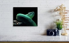 West African Bush Viper Reptile Macro Photography Snake Art Print