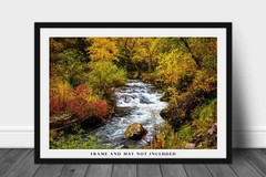 Spearfish Canyon South Dakota Creek Black Hills Landscape Photography Print