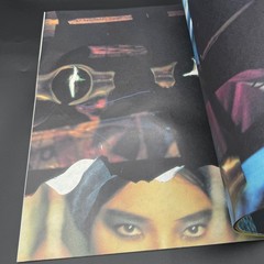 Doyle on Doyle by Christopher Doyle Photography Book Softcover PrenomH 1997 USED