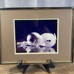 Framed Art Gore Photo Print Onion Gold Frame 16 x 12, image 9 x 7 – Food