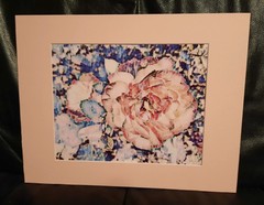 Matted Photograph: Rose Whispers