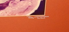 BOB TALBOT HAND SIGNED 1977 COLOR SEASCAPE REEF PHOTOGRAPH