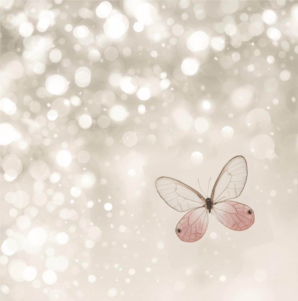 Fine Art Photography Print, Pink Butterfly, Babies Room, Girls Room, Baby Shower