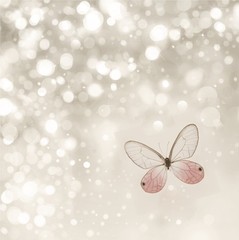 Fine Art Photography Print, Pink Butterfly, Babies Room, Girls Room, Baby Shower