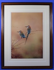 Thomas D Mangelsen Signed & Numbered «African Bee-Eaters» Color Photography