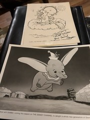 Vintage Lot Of Cartooon Fan Mail Souvenirs, Postcards, Photos Etc Snoopy Etc