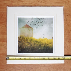 Angie Lambert Photograph Farm Silo Birds Flowers Americana Rustic 12×12″ Matted