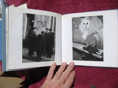 Robert Doisneau CATS IN PARIS Photobook Les Chats De Paris Barnaby Conrad III