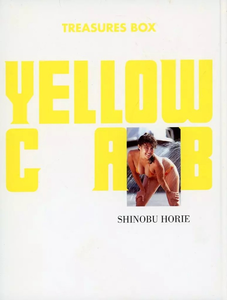 Shinobu Horie Female Idol Photo Collection TREASURES BOX Japan