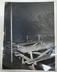 Vintage Black and White Photo of Interior Large Tent with Picnic Tables