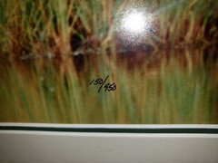 Thomas Mangelsen moose signed Photo Print #150/950 1992 Sept. morning caribou