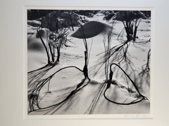 Richard Garrod, silver gelatin, black and white photograph, Mono Lake, shore
