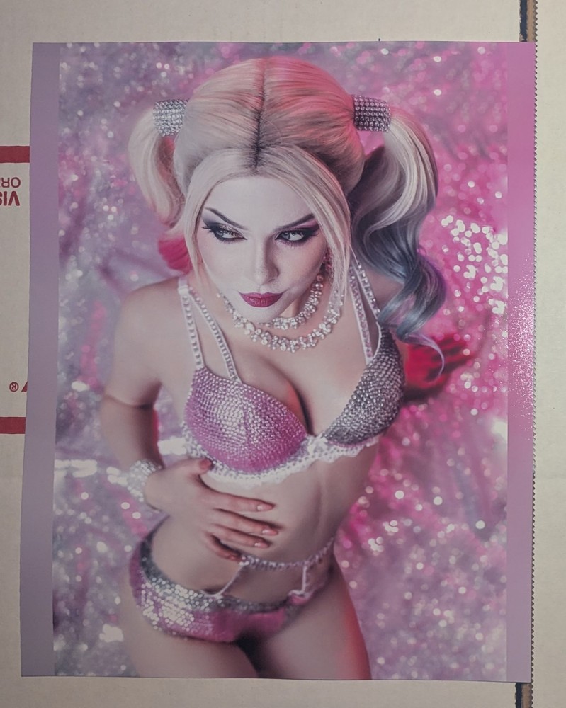 Harley Quinn 8×10 Photo Print Sexy Model Picture Cosplay DC Comics Onlyfans