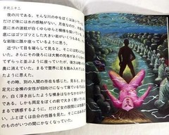 Tadanori Yokoo Dream Pillow 1998 Art Book Surreal Design Visual Culture Rare