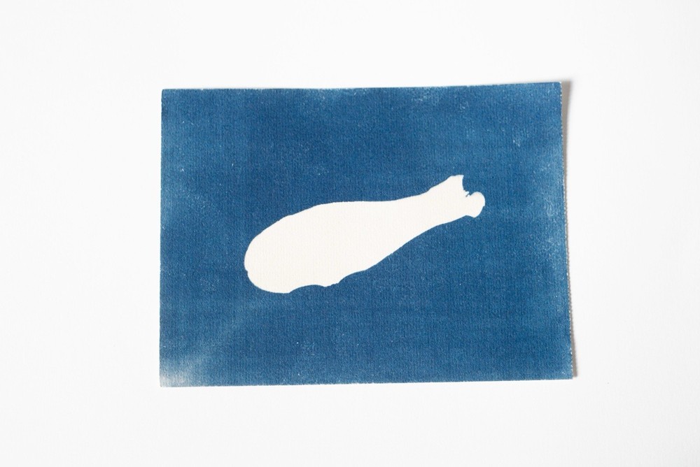 Original Cyanotype Print – Botanical Leaf Photogram – Handmade Blue Art|20×15 cm