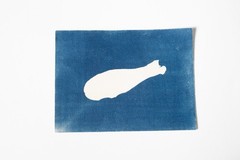 Original Cyanotype Print – Botanical Leaf Photogram – Handmade Blue Art|20×15 cm