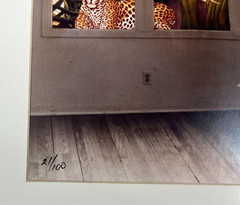 Vintage Lou Zale Limited Edition Magic Realism Fantasy Art Photography