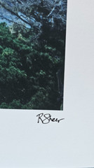 Robert Sheer Spirits Honoring the Lone Cypress Single Exp Photograph Hand signed