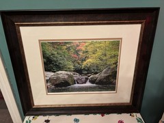 Beautiful 20 X 24 Inch Framed Matted Hand Signed Photograph By William Britten