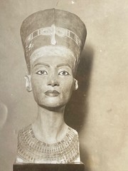 Original 1950s Archaeology Photo Egyptian Nefertiti Bust Silver Print