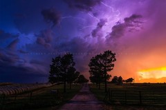 Stormy Sky with Lightning Over Road and Trees in Oklahoma Photo Print (Unframed)