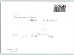 40089255 – 7552 Durmersheim altar monastery church Bickesheim