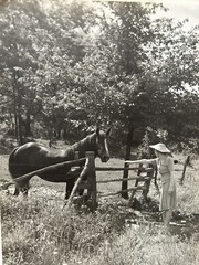 Arthur Gray Standard Oil Photographer Cleveland Ohio Beautiful Woman Horse Look!