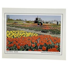 Vintage Tulip Festival Holland Michigan Print Hillsdale Publishers