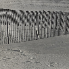 Old Photo Black & White Fence & Sand 8×10 Mid-Century VTG NEW MCM Original Art