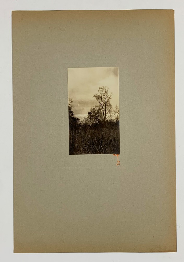 Signed Rudolf EICKEMEYER Trees in Tall Grass, 1921 Silver Print Photo
