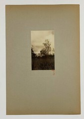 Signed Rudolf EICKEMEYER Trees in Tall Grass, 1921 Silver Print Photo