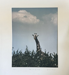 James C. Hirsch Signed Limited Edition Photograph 1/19 -Sight in the Sky – Kenya