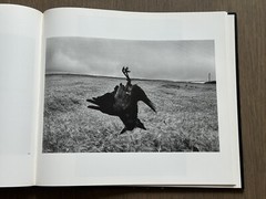 🎈SALE! RARE! Super Book! Josef Koudelka Exiles Revised and Expanded 1997 HC DJ