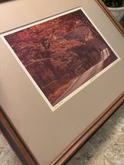 Bill Coleman Signed Amish No 58 Matted & Framed Photograph Autumn Bliss