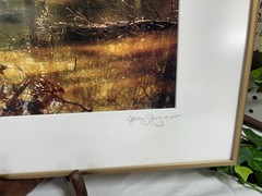 Jerry Jernigan Photography Framed And Matted “ Tranquility “ Creek With Ducks