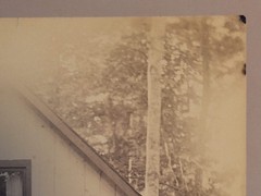 Antique Family Portrait Black and White Photograph, Leslie Hindman Auctioneers