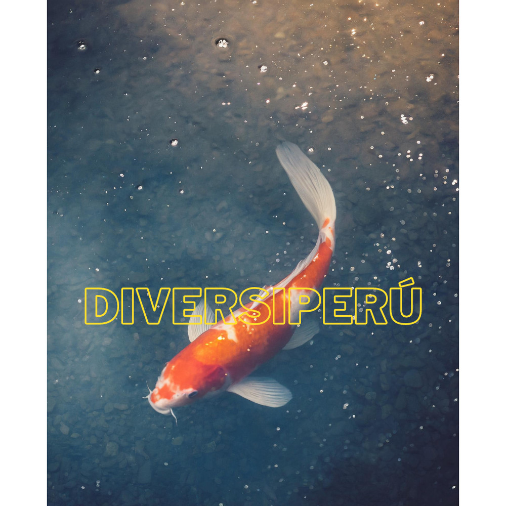 Digital Image nature Photo Wallpaper Background AI ART Fish Koi