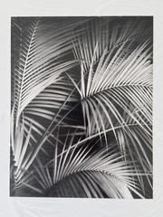 7×9 Black & White Stephen Stoneberg (Asheville, NC) Photographs on 13×14 Mattes