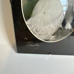 Vintage Artist Signed Snow Owl Portrait Framed 5×7”
