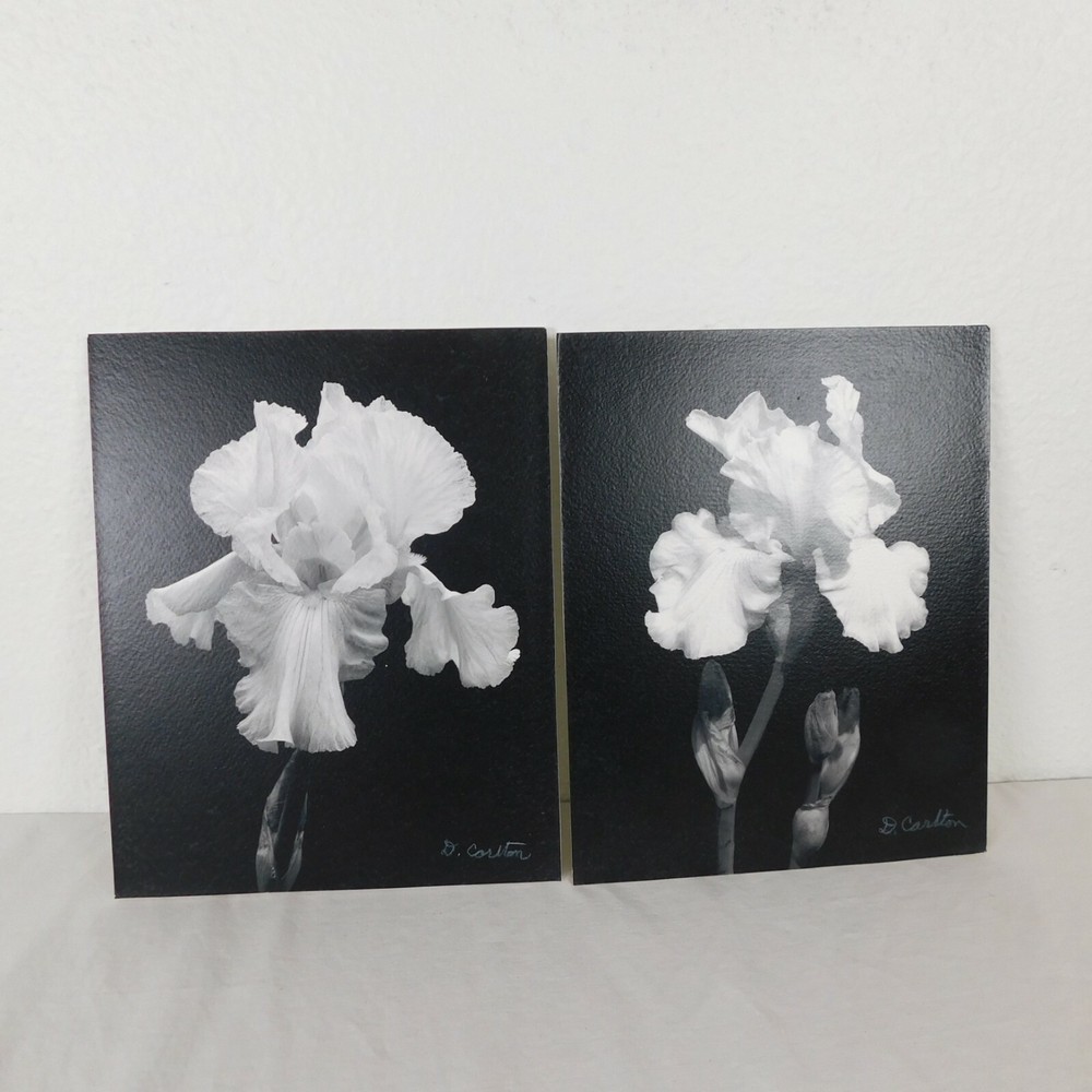 2 Black & White Iris Foam Core Mounted Signed D Carlton Photo Pacific NW Artist