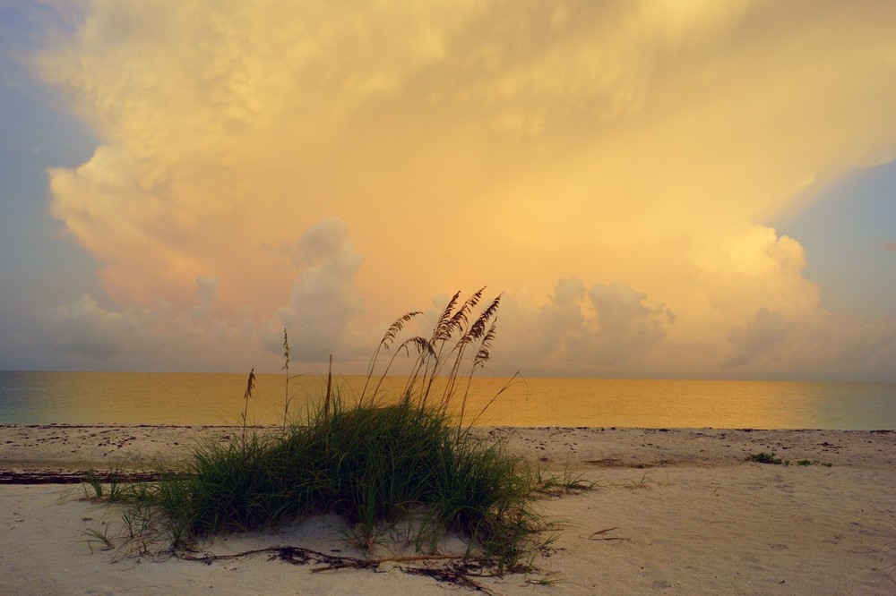 Sunrise and sea oats, Nokomis Beach