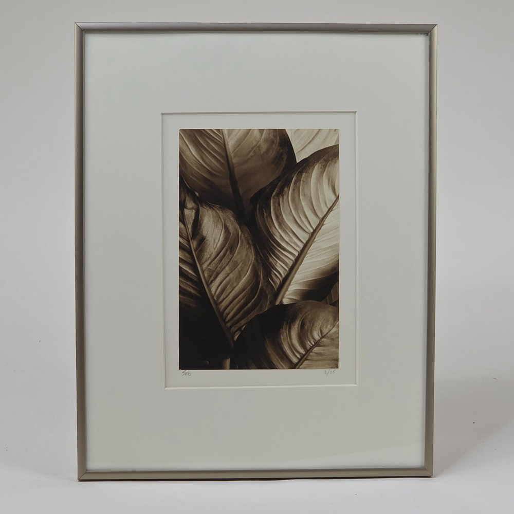 Steven Michael Bogdonas | Leaves #1, 2002, Original Print