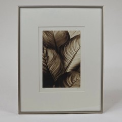 Steven Michael Bogdonas | Leaves #1, 2002, Original Print