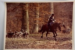 Vintage Analog Photo France Hunting Foxhunting Horse 24X30Cm 1970