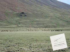 Digital Image, Nature Landscape Photography | – Background Wallpaper L123