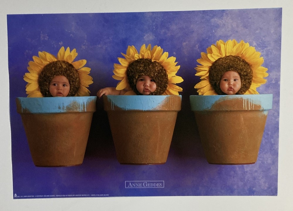 Ann Geddes, “Sunflower Trio”Babies in Sunflower in Potts Original Poster # 8388