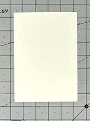 Manuel Álvarez Bravo (1902-2002) Art Announcement Card – Witkin Gallery NYC